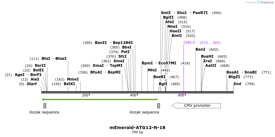 89889_map