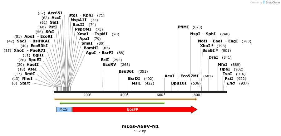 89895_map
