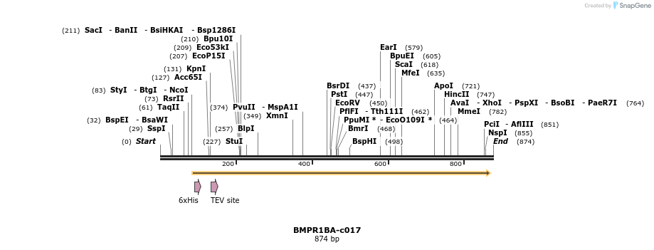 89896_map