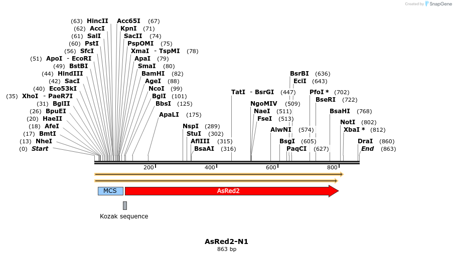 89898_map