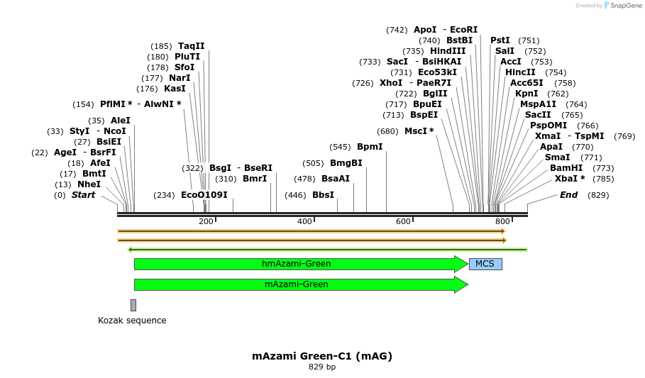 89905_map