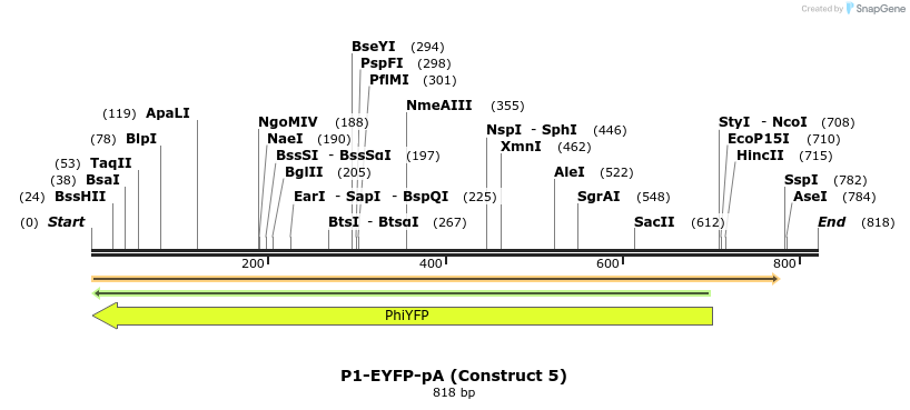 89908_map