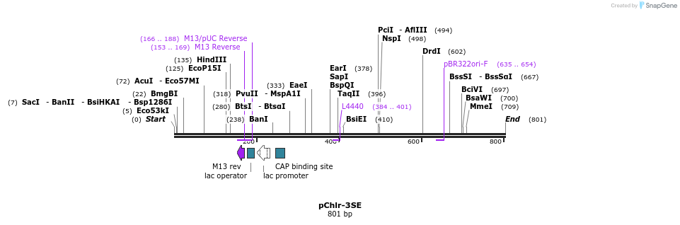 89939_map