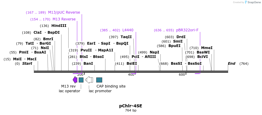 89943_map
