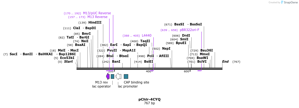 89946_map