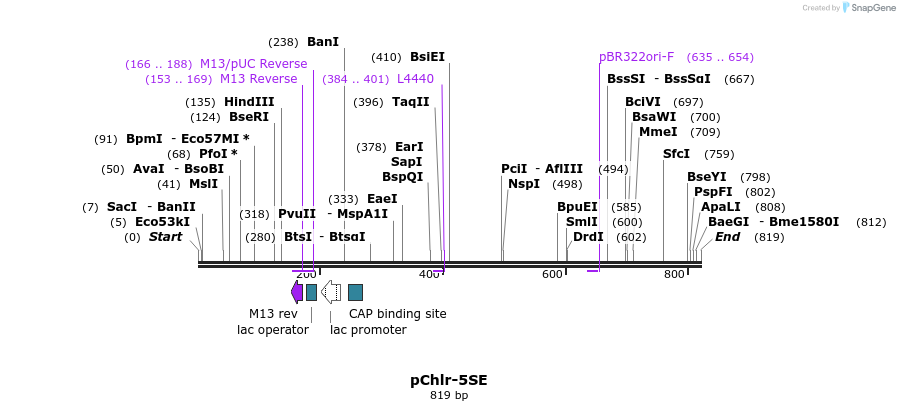 89951_map