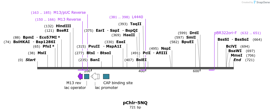 89952_map