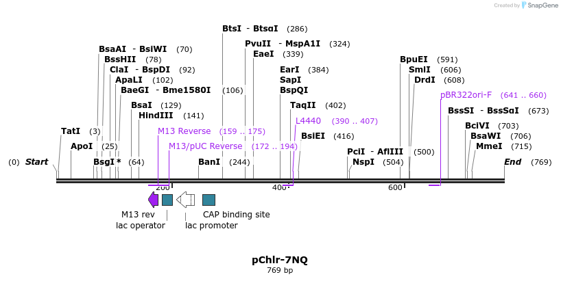 89960_map