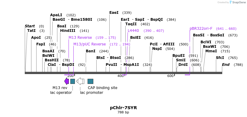 89961_map