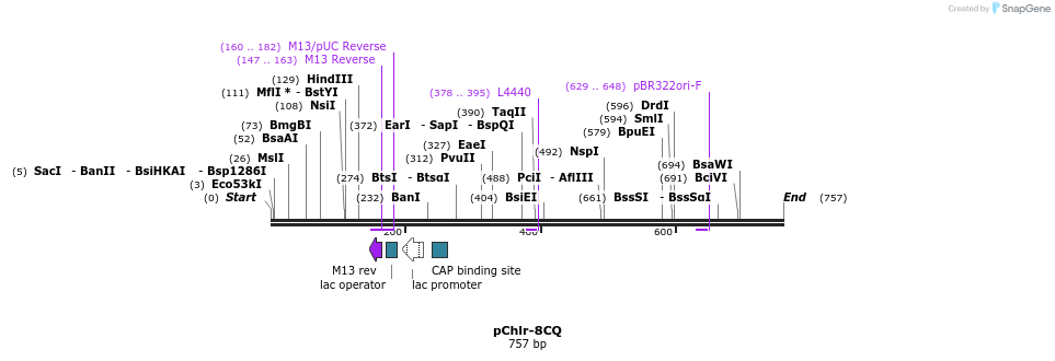 89962_map