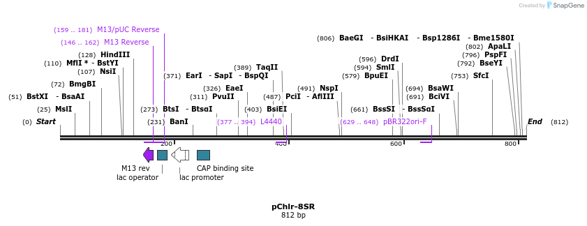 89965_map