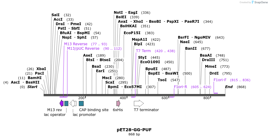89966_map