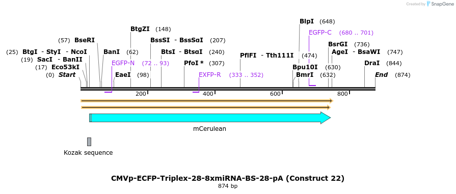 89970_map