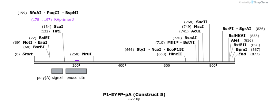 89980_map