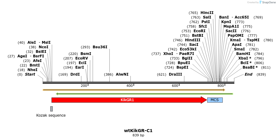 89982_map