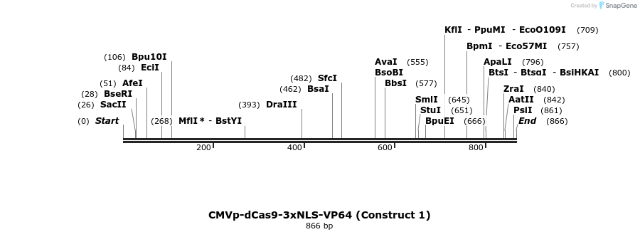 89985_map