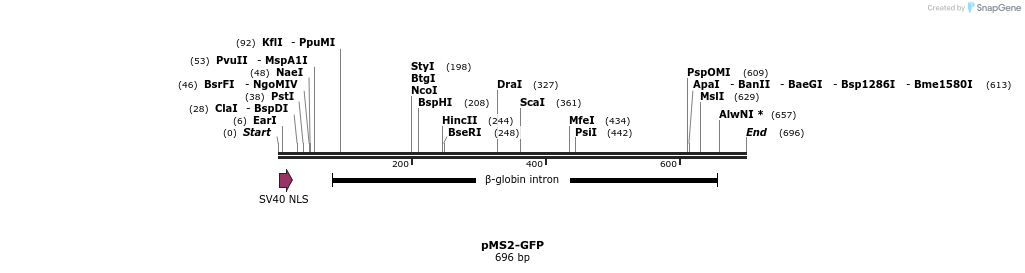 89996_map