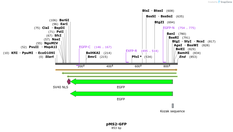 89997_map