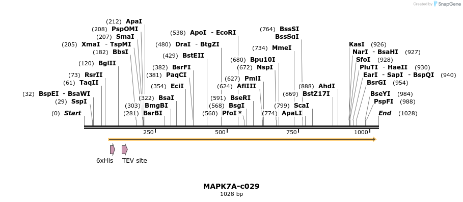 90003_map