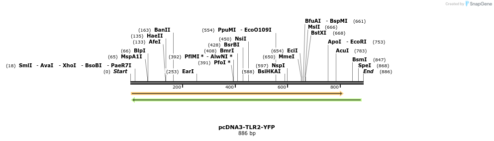 90004_map
