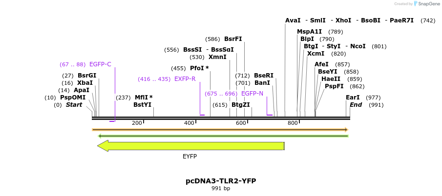 90008_map