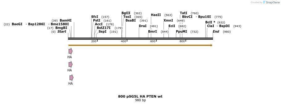 90009_map