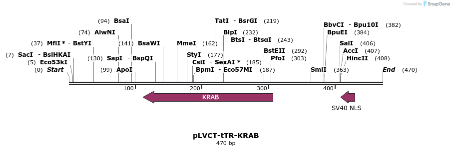 90011_map