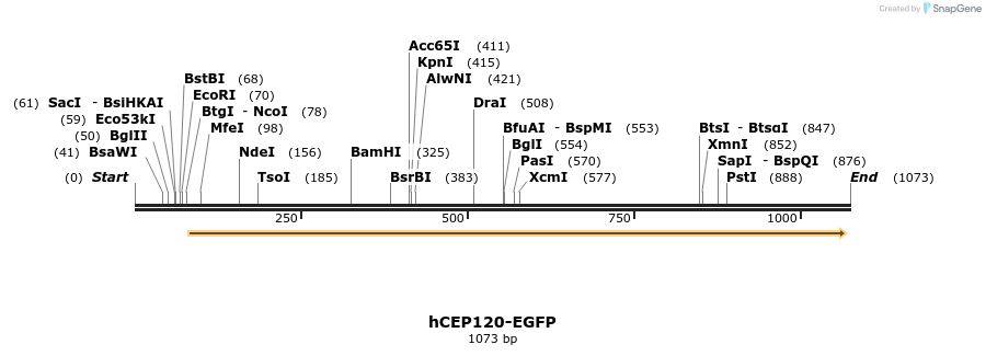 90022_map