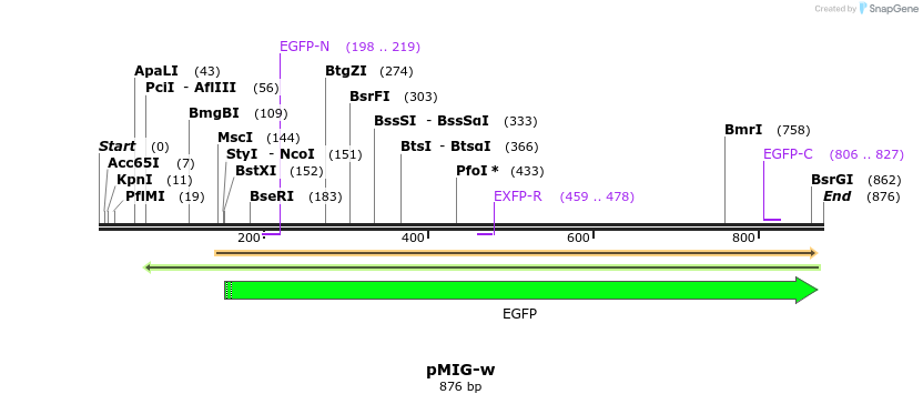 90028_map