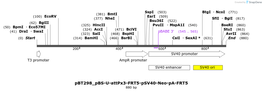 90034_map