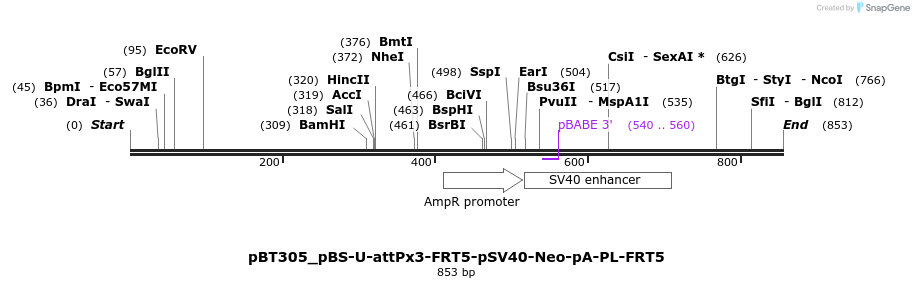 90036_map