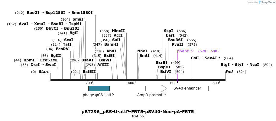 90037_map