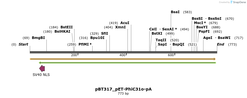 90038_map
