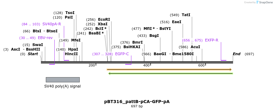 90041_map