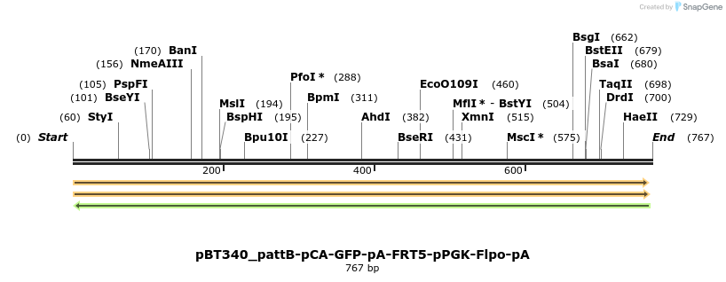 90043_map