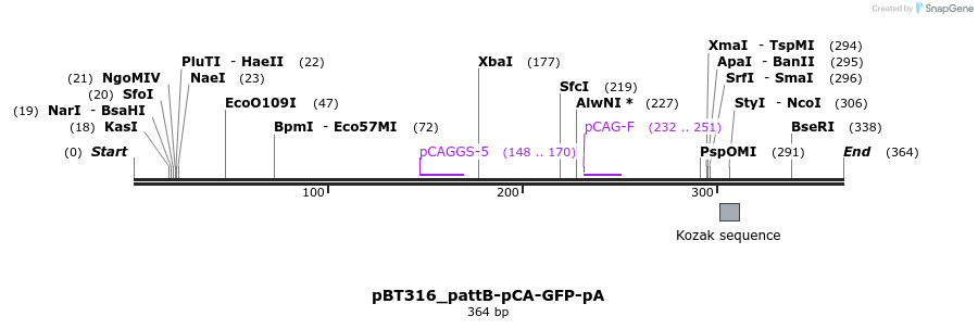 90047_map
