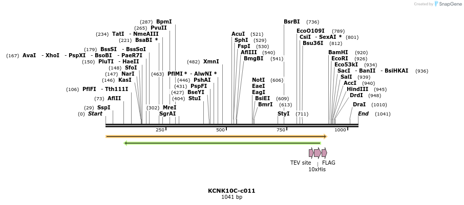 90050_map