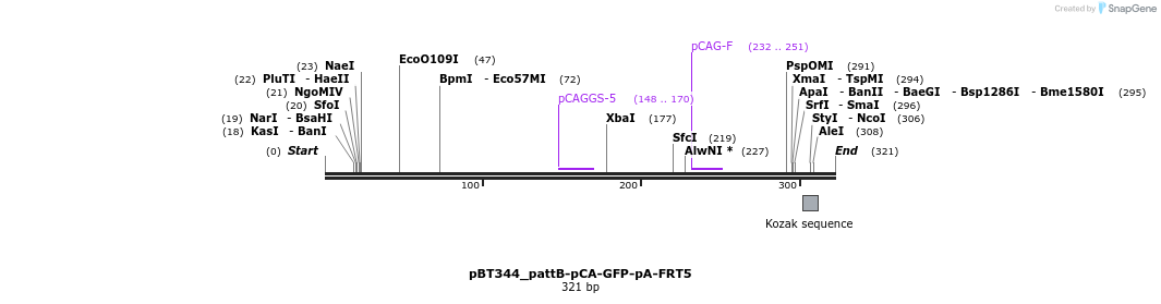 90056_map