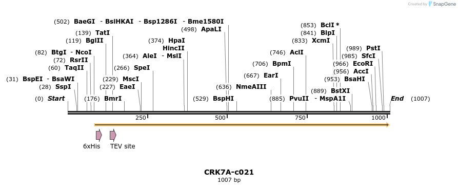 90057_map