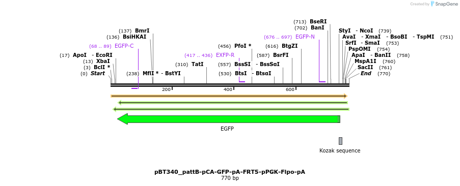 90058_map