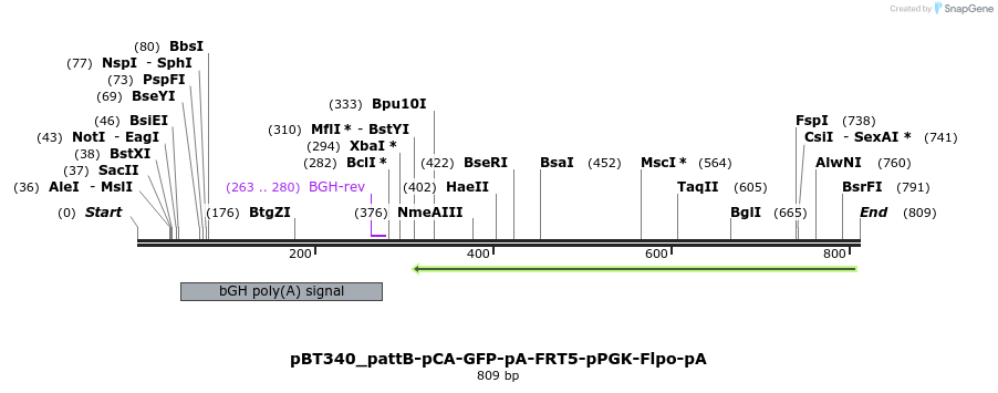 90059_map