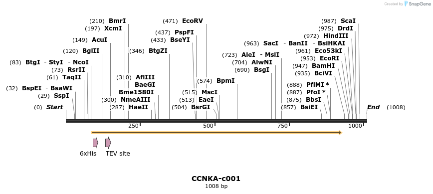 90061_map