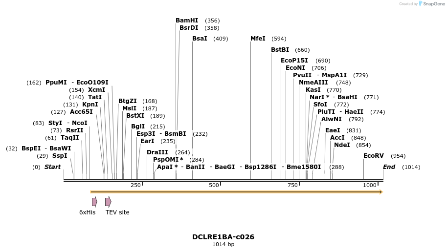 90062_map