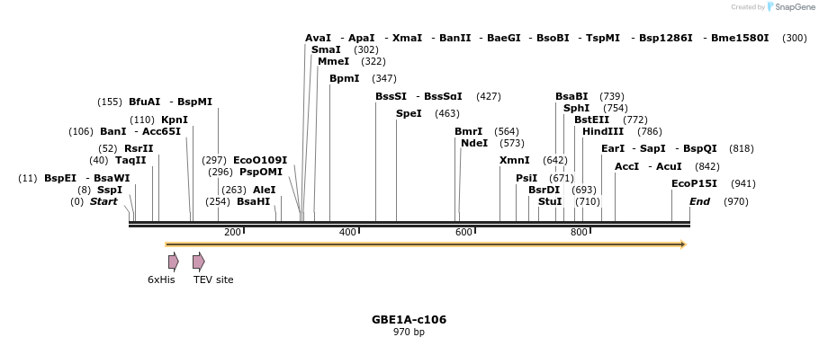 90063_map