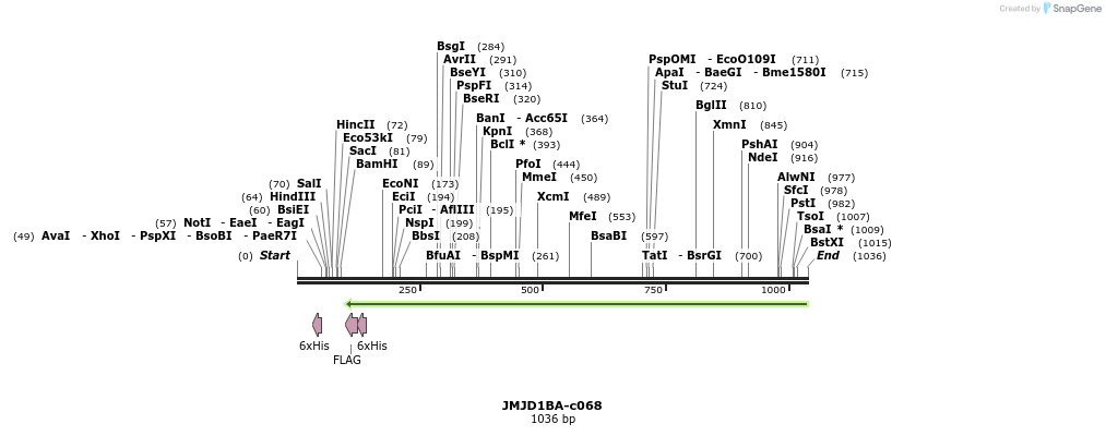 90064_map