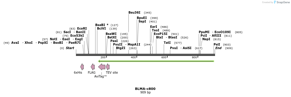 90065_map