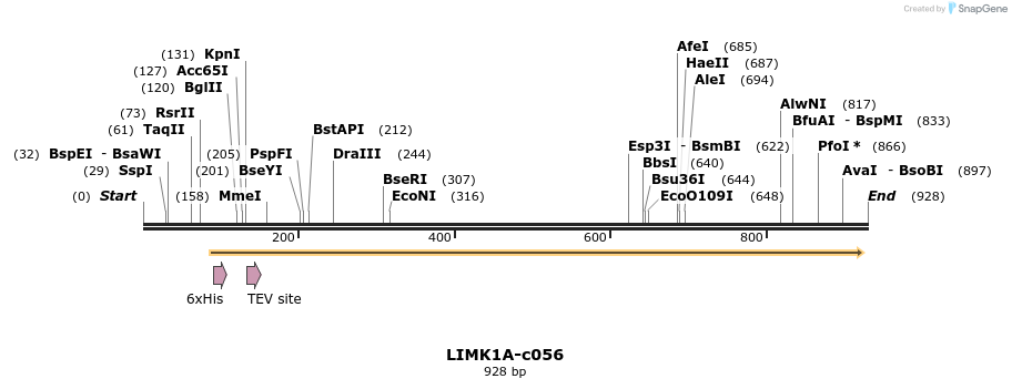 90066_map