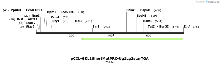 90076_map