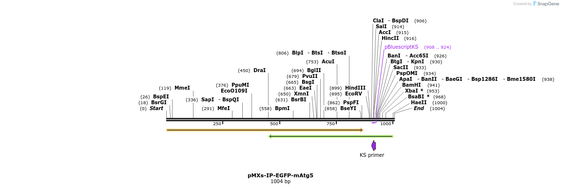 90082_map