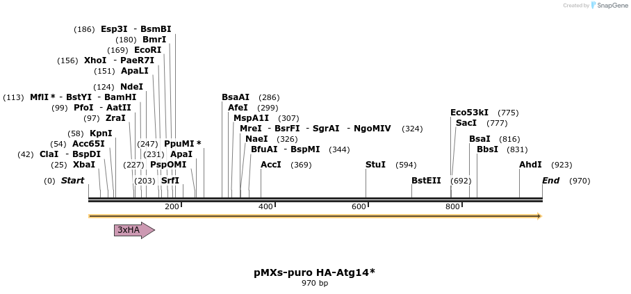 90085_map